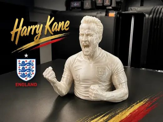 Harry Kane World Cup Celebration