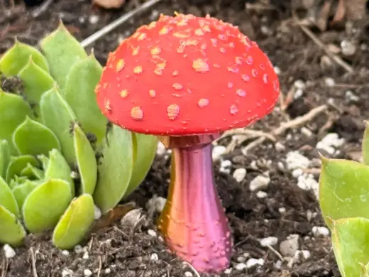 Magic Fliegenpilz - Deko Pilz (2-Farbig AMS)