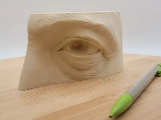 anatomical sculpture eye