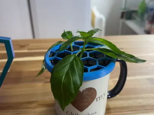 Infinite Basil Water Propagation Lid