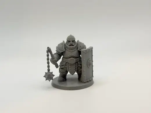 Stout Shield Knight - Mace Guard