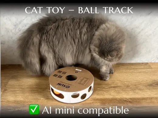 Cat puzzle ball track toy from spool