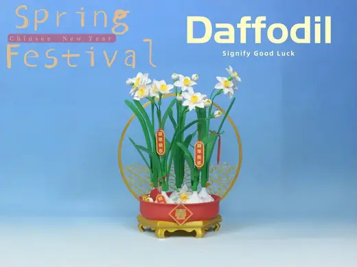 Essential Flower for Chinese New Year — Narcissus