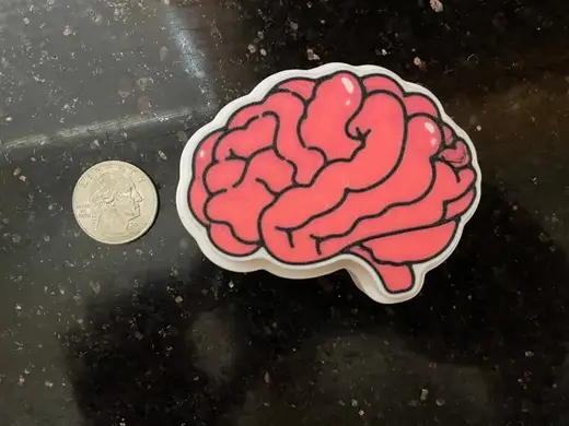 Anatomical Brain Clicker