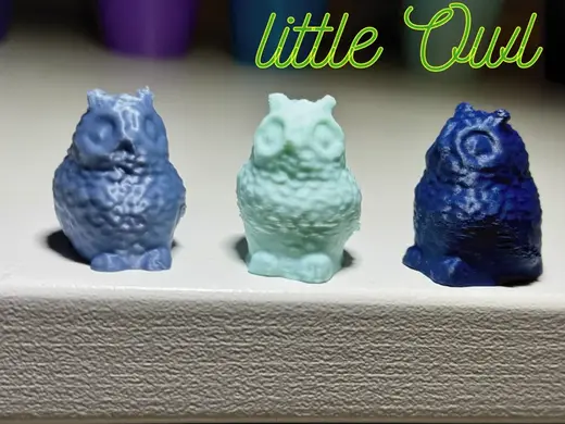 little Owl - kleine Eule