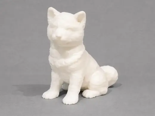 Puppy of Akita Inu - Dog - Animal