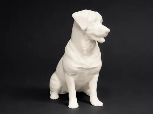 Sitting Entlebucher Mountain Dog - Animal - Decor