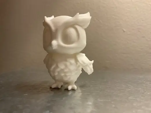Cute little Owl