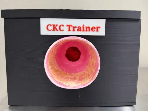 Cold Knife Conization (CKC) trainer