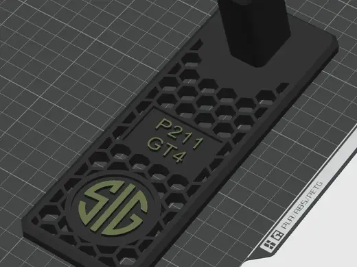 Sig P211 GT4 Stand