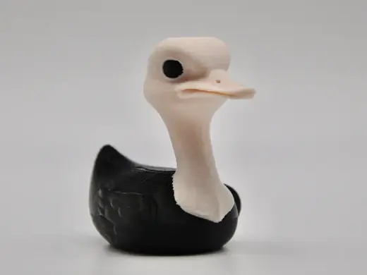 Ostrich Duck