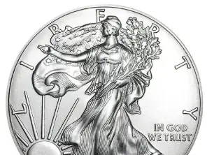 Silver Eagle Coin Print
