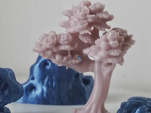 【大暑】花树