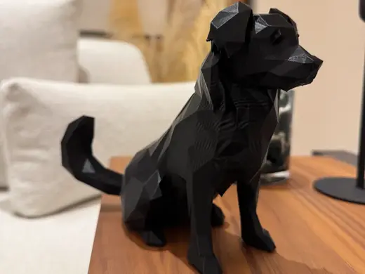 Greek Dog Breed Kokoni Low Poly Style