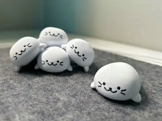 Cute Chubby Seal