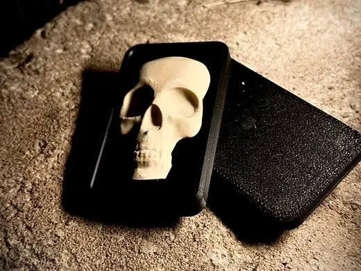 Halloween Skull Magnetic Fidget Slider !