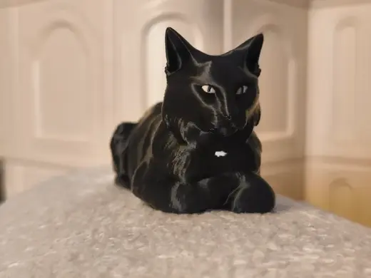 Black cat in loaf position