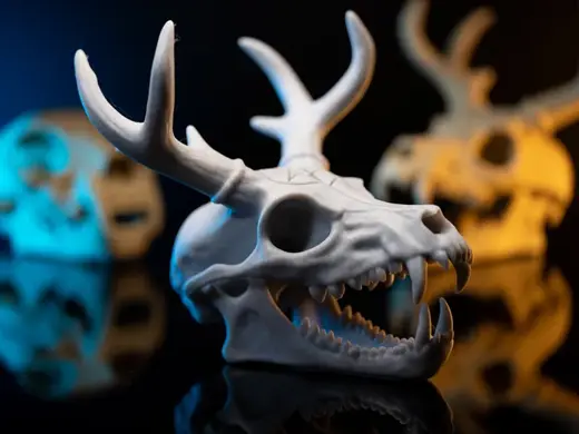 Wendigo Cryptid Skull Fossil