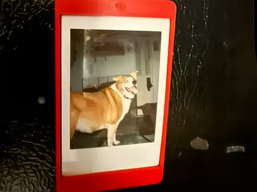 Instax Mini Magnet Frame