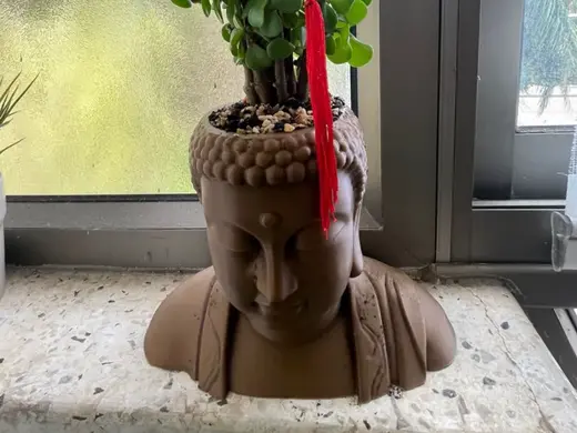 Buddha lucy flower pot