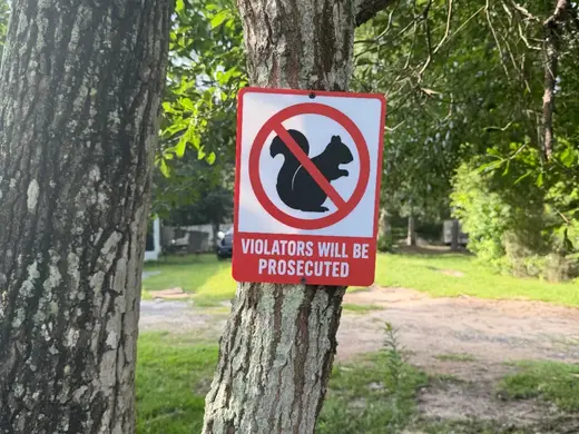 Anti-Squirrel Compliance Sign