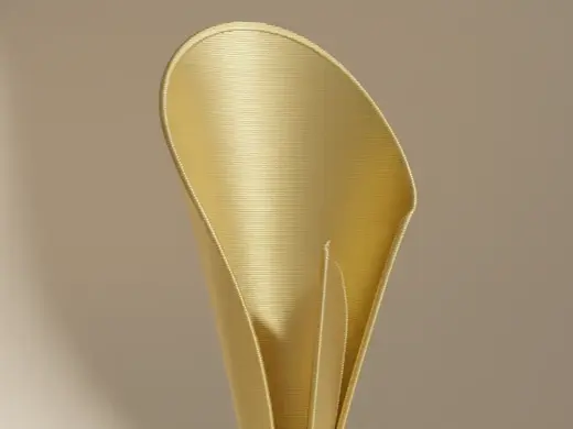 Winner Trophy