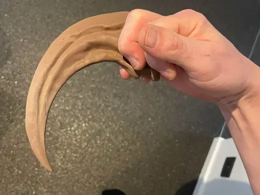 Velociraptor claw fossil replica