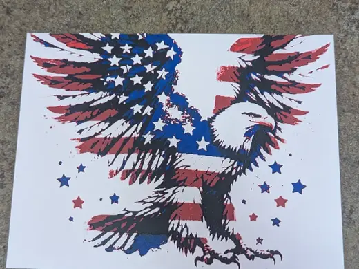 Bald Eagle Hueforge Textured Wall Art