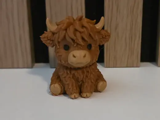 Cute highland cow sitting down