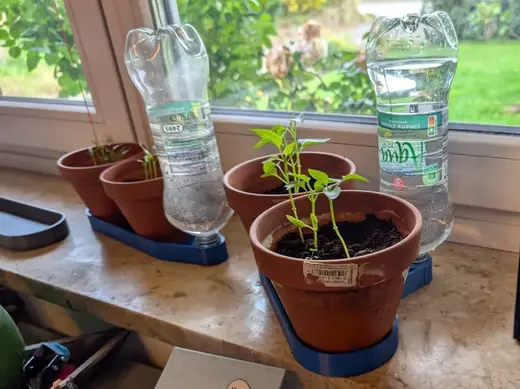 Automatisch Bewässerung Pflanzen PET Flasche groß