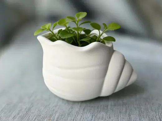 海螺绿植花盆 桌面造景摆件