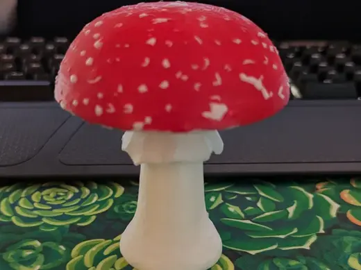 Two color realistic mushroom