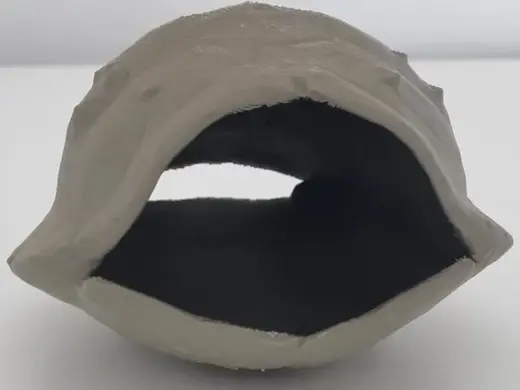 House for jumping spider - Turtle Shell / shelter
