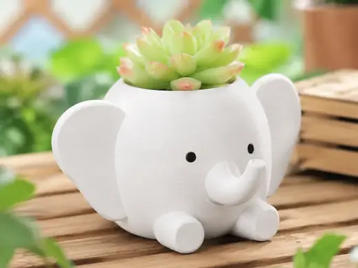 象墩墩多肉花盆