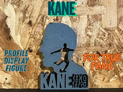 KANE – Profile Display Figure for True Fans