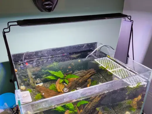 Aquarium Light Riser - Glass up to 7mm thick
