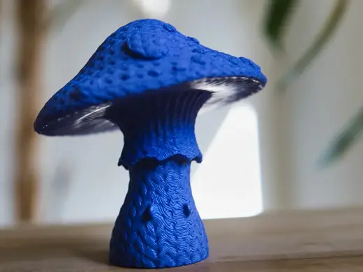 Gus The Knitted Mushroom