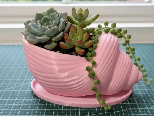 海螺花盆