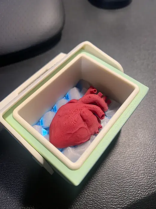 Heart on ice for 1/4 scale Igloo RC Cooler