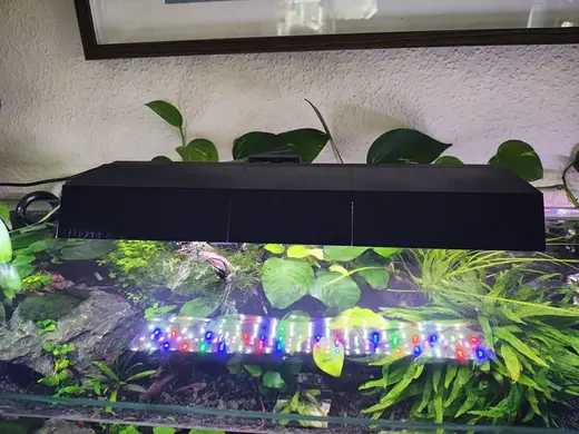 Abdeckung für Aquarium Lampe