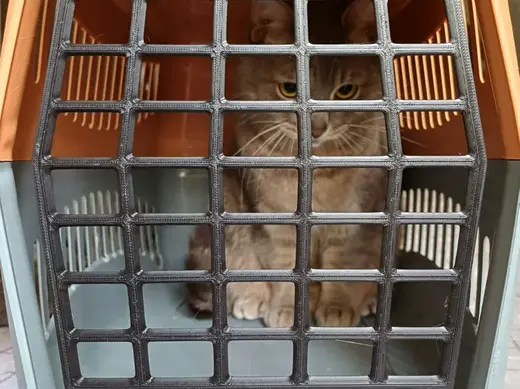 Дверце для переноски животных