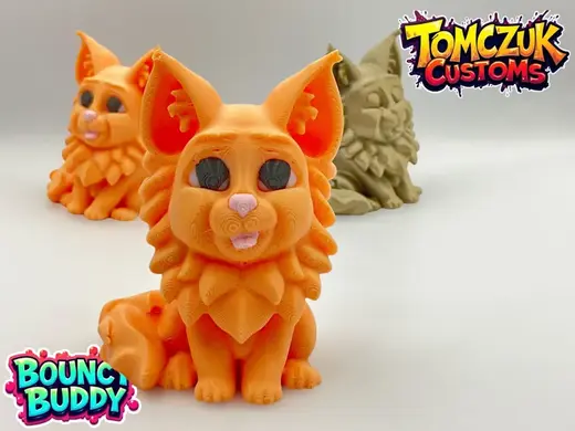 Bouncy Buddy: Maine Coon