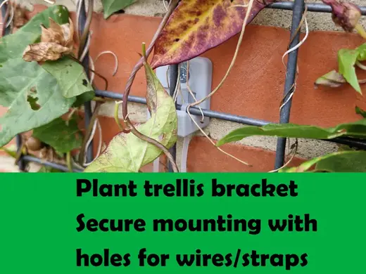 Plant trellis mounting bracket