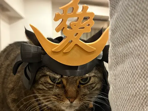 Japanese Samurai Naoe Kanetsugu Cat Kabuto