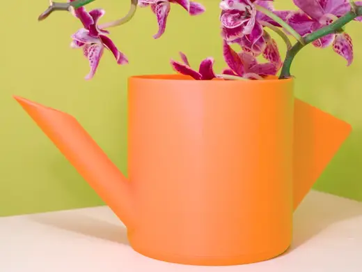 Small Watering Can | No supports needed !