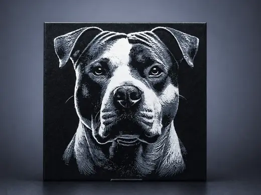 American Pit Bull Terrier