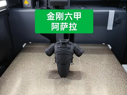 三角洲行动-金甲(阿萨拉六级甲)