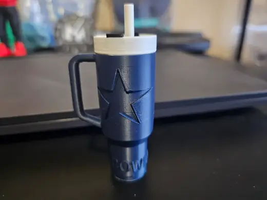 Dallas Cowboys Stanley Keychain Chapstick Holder