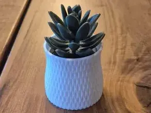 small vase for small flowers