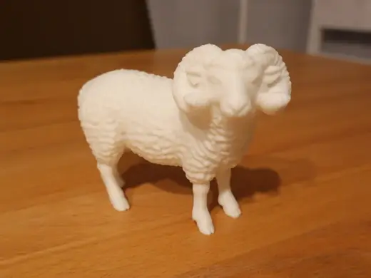 Schaf Bock
